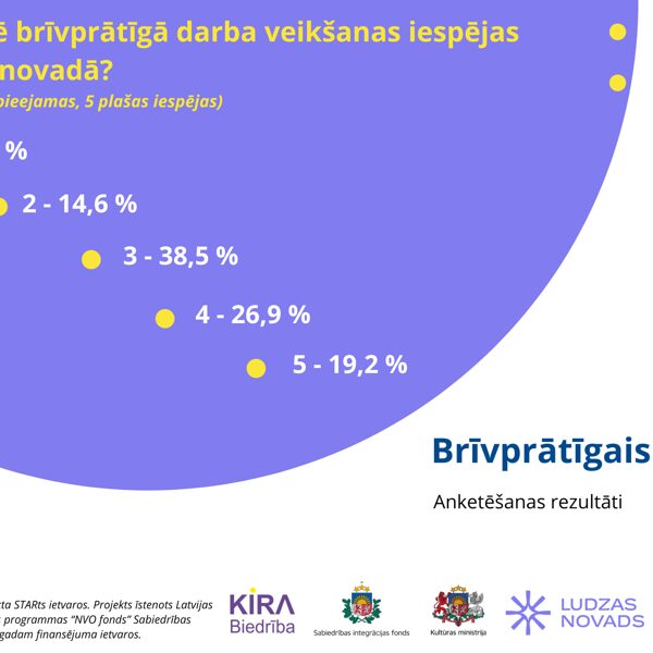 Brīvprātīgais darbs